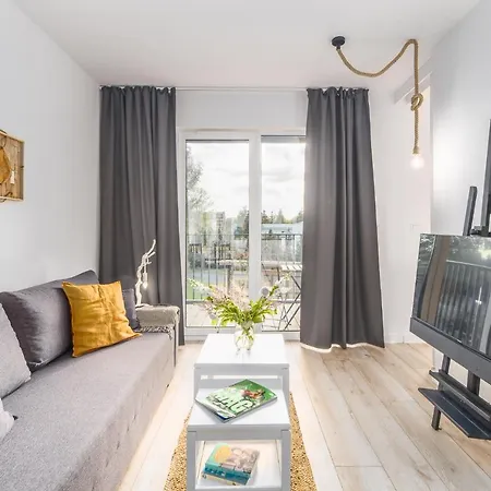 Wood Surfingbird Dźwirzyno